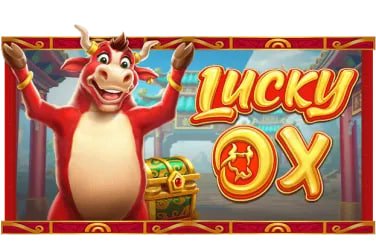 hokibet login gaming platform dashboard showing multiple game categories and live dealer tables